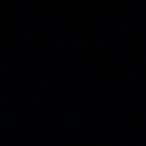 Meet your Posher, Alanna